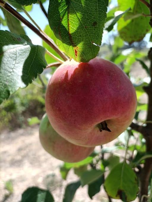 Willa Quinta Da Estima Dous Portos Zewnętrze zdjęcie